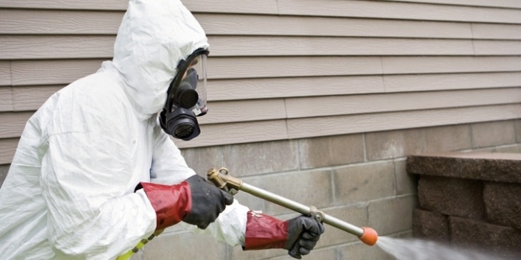 Începe deratizarea la Timișoara!