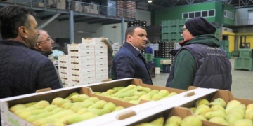 Centrul de legume-fructe de la Tomnatic bate pasul pe loc! De aproape un an nu s-a mai făcut nimic. Călin Dobra:„Îl avem pe tavă și ne batem joc de el!”