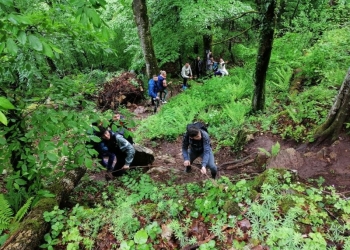 Parteneriate de succes ale Facultății de Educație Fizică și Sport din cadrul Universității Aurel Vlaicu din Arad