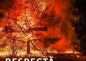 ”Va arde și în România, ca în Grecia și Turcia!” Avertismentul pompierilor pentru cei care incendiază terenuri