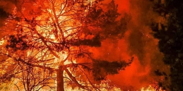 ”Va arde și în România, ca în Grecia și Turcia!” Avertismentul pompierilor pentru cei care incendiază terenuri