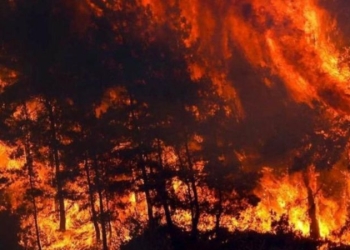 Mii de oameni fug din case. Se întâmplă în Atena unde incendiul a ars toată noaptea