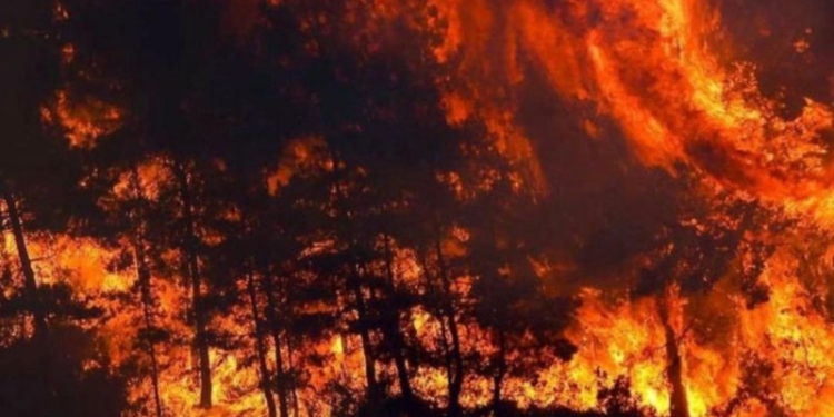 Mii de oameni fug din case. Se întâmplă în Atena unde incendiul a ars toată noaptea