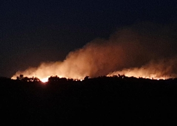 VIDEO Incendiu puternic în apropiere de Timișoara