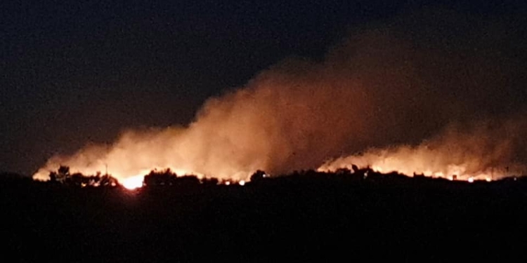 VIDEO Incendiu puternic în apropiere de Timișoara