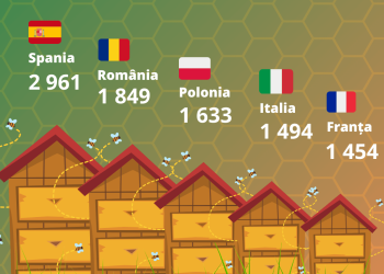 România este în top 3 țări din U.E. după numărul de stupi cu albine