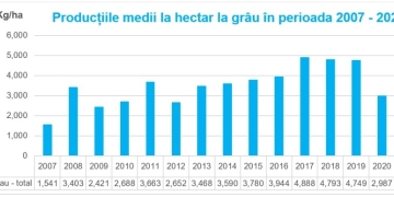 Județele Timiș, Caraș-Severin și Arad au avut cele mai mari producții de grâu din țară