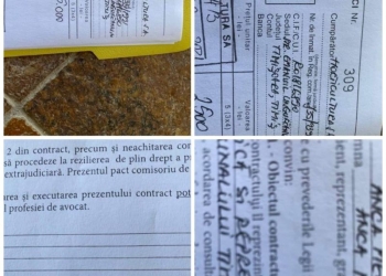 Consilierul local Radu Țoancă îi cere lui Domnic Fritz să sesizeze DNA-ul și în „cazul colegei useriste de la Horticultura, care a încălcat legea”