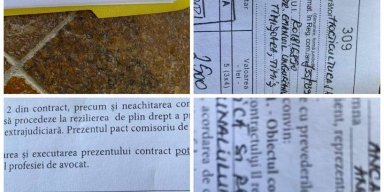 Consilierul local Radu Țoancă îi cere lui Domnic Fritz să sesizeze DNA-ul și în „cazul colegei useriste de la Horticultura, care a încălcat legea”