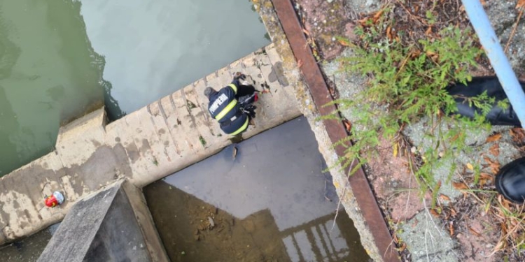 Pompierii ISU Timiș au salvat un câine care căzuse într-o zonă greu accesibilă de la Uzina de Ape