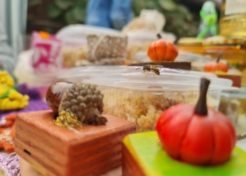 FOTO Ultimul brunch din acest an a avut loc la Coșteiu de Sus