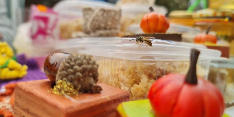 FOTO Ultimul brunch din acest an a avut loc la Coșteiu de Sus