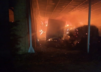 Ritm draconic de muncă! 35 misiuni pe zi, 1087 misiuni în luna august, pentru pompierii arădeni