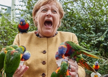 Imaginea zilei! Angela Merkel ciupită de deget de un papagal