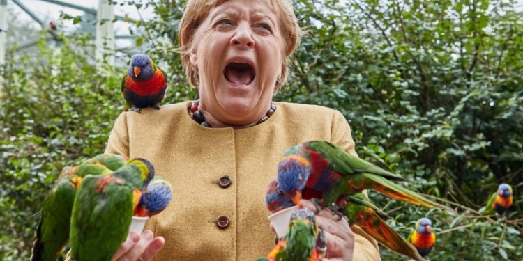 Imaginea zilei! Angela Merkel ciupită de deget de un papagal