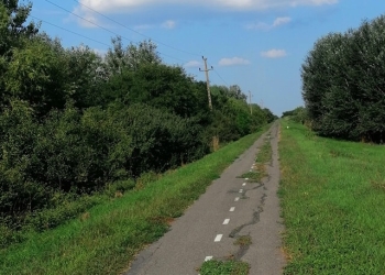 Nu i-a durut gura să zică! Autoritățile județene trase la răspundere pentru starea jalnică în care este pista de biciclete de pe malul Begăi