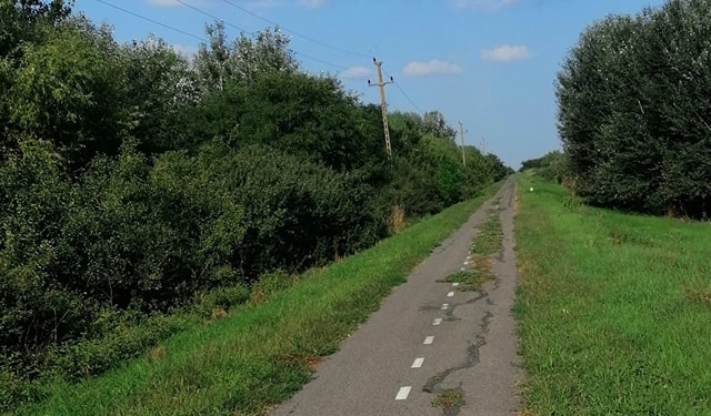 Nu i-a durut gura să zică! Autoritățile județene trase la răspundere pentru starea jalnică în care este pista de biciclete de pe malul Begăi