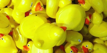 Concurs cu tradiție la Timișoara! Începe cursa de rățuște pe râul Bega, în scopuri caritabile