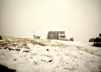 VIDEO Primul strat serios de zăpadă s-a depus și în Banat. Vezi aici unde