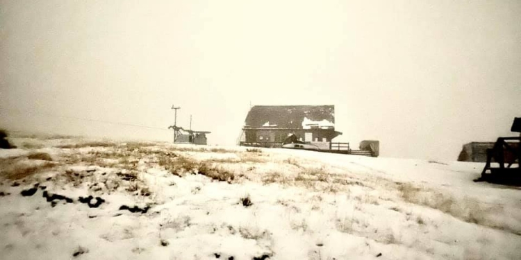 VIDEO Primul strat serios de zăpadă s-a depus și în Banat. Vezi aici unde