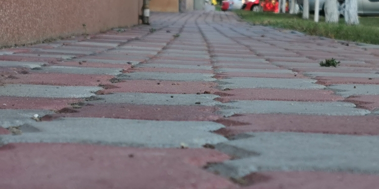 Sânandrei: trotuare reabilitate și drumuri agricole asfaltate cu bani europeni