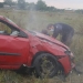În drum spre o donare de sânge, jandarmii au acordat primul ajutor unor timișeni implicați într-un accident auto