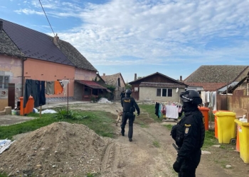 Descindere la un piroman din Timiș. Bărbatul a fost reținut