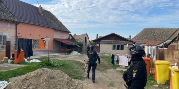 Descindere la un piroman din Timiș. Bărbatul a fost reținut