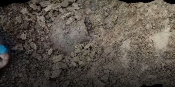 VIDEO Vas de aproape 7 milenii scos la lumină de arheologii Muzeului Național al Banatului din Timișoara
