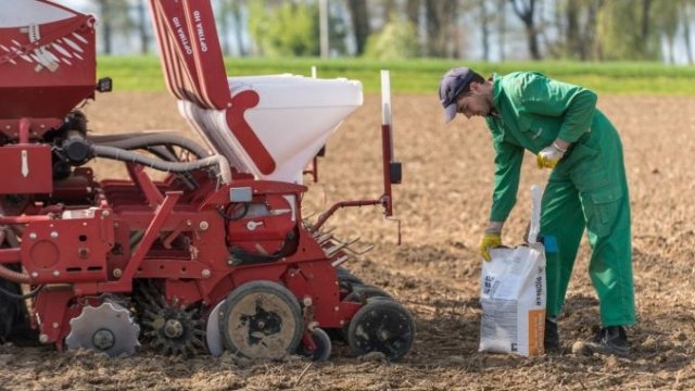 Infectat cu Sars-CoV2, dar harnic! Un bărbat din Timiș trebuia să stea în izolare, dar a plecat la muncile câmpului