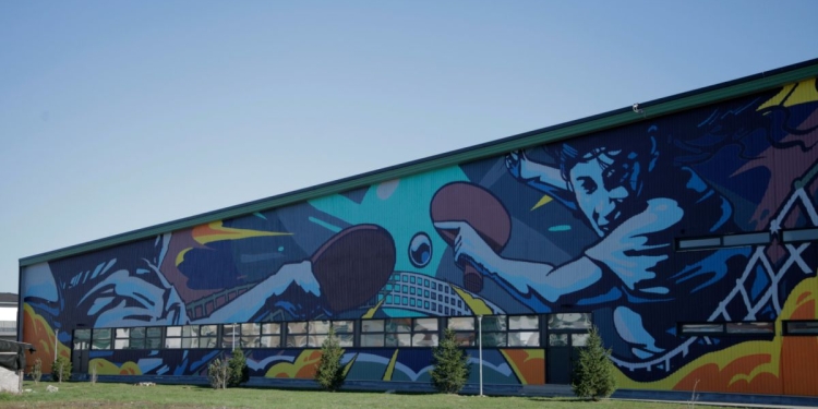 Una dintre cele mai mari picturi murale din România, realizată în comuna Dumbrăvița