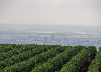 Locuri de vizitat, în apropiere de Timișoara, în mini-vacanța de 1 Decembrie: zona Recaș