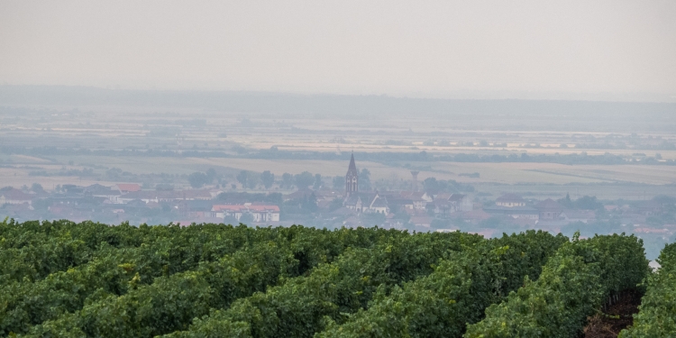 Locuri de vizitat, în apropiere de Timișoara, în mini-vacanța de 1 Decembrie: zona Recaș