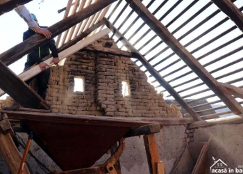 Voluntarii „Acasă în Banat” au mai salvat o moară