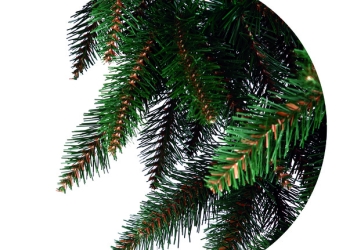 De Crăciun, Timișoara va avea brad artificial!