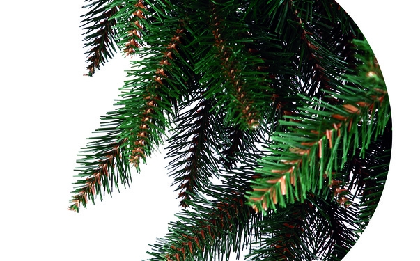 De Crăciun, Timișoara va avea brad artificial!