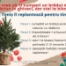 Timișorenii care-și cumpără brad de Crăciun în ghiveci, pot să-i replanteze! Inițiativă a Consiliului Județean Timiș