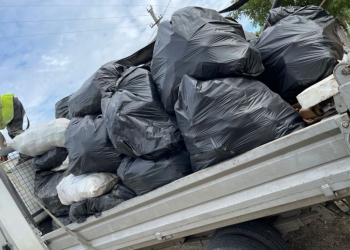 „Recolta” de deșeuri de pe drumurile județene din Timiș: 11 tone!