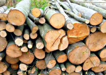 Prețul lemnului de foc a luat „foc”