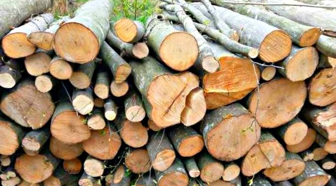 Prețul lemnului de foc a luat „foc”