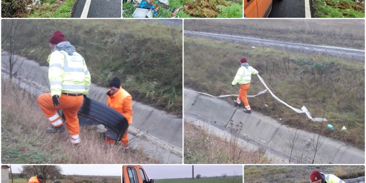 DRDP Timișoara: Ce aruncă românii?! De toate și pe unde apucă. Nesimțirea nu are limite