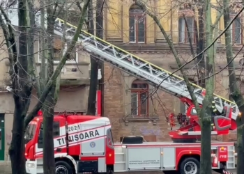 VIDEO. Vântul creează probleme la Timișoara. Pompierii, chemați cu autoscara