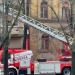 VIDEO. Vântul creează probleme la Timișoara. Pompierii, chemați cu autoscara