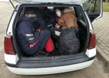 Un bărbat a fost prins de poliție în timp ce transporta șase afgani spre Timișoara