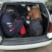 Un bărbat a fost prins de poliție în timp ce transporta șase afgani spre Timișoara