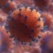 Primele două cazuri cu varianta Omicron a virusului SARS-CoV-2, confirmate în România