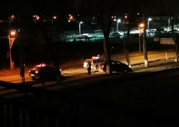 Urmărire ca-n filme, terminată în pom. Focuri de armă, la Giroc