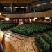 Sala de spectacole de la Casa Tineretului, bani pentru un sistem de încălzire și răcire
