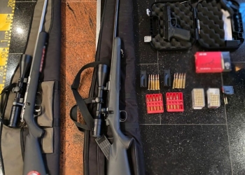 Un bărbat de 64 de ani a fost reținut după ce a împușcat mai mulți câini