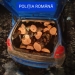 Un tânăr a fost reținut de poliție pentru că a tăiat lemne ilegal și le-a transportat într-o mașină neînmatriculată fără a avea permis de conducere